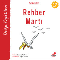 . Kır Öyküleri – Rehber martı