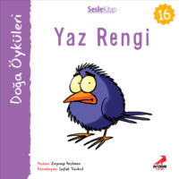 . Kır Öyküleri – Yaz rengi