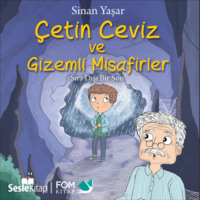 Sinan Yaşar. Çetin Ceviz 5 – Çetin Ceviz ve Gizemli Misafirler – Sıra Dışı Bir Son