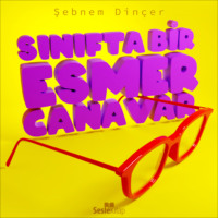 Şebnem Dinçer. Sınıfta Bir Esmer Canavar