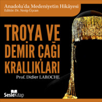 Didier Laroche. Anadolu'da Medeniyetin Hikayesi 2 – Troya ve Demir Çağı Krallıkları