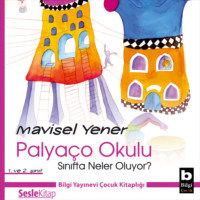 Mavisel Yener. Palyaço Okulu 3 – Sınıfta Neler Oluyor?
