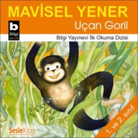 Mavisel Yener. Uçan Goril