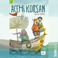 Nehir Yarar. Acemi Korsan