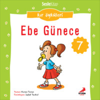 Nuran Turan. Kır Öyküleri – Ebe günece