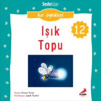 Nuran Turan. Kır Öyküleri – Işık topu