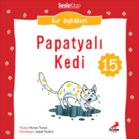 Nuran Turan. Kır Öyküleri – Papatyalı kedi