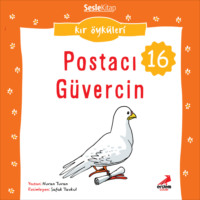 . Kır Öyküleri – Postacı güvercin