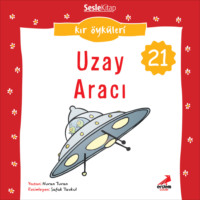 . Kır Öyküleri – Uzay aracı
