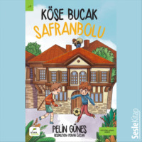 Pelin Güneş. Köşe Bucak Safranbolu