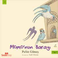 Pelin Güneş. Momo'nun Sarayı