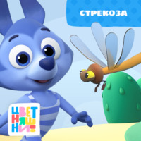 . Стрекоза