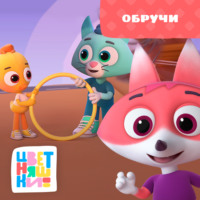. Обручи