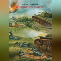 Виктор Старицын. Блицкриг -капут