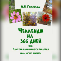 Ольга Голубева. ЧЕЛЛЕНДЖ НА 366 ДНЕЙ или Заметки начинающего писателя. Часть 3