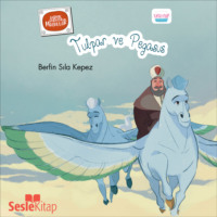 Berfin Sıla Kepez. Karışık Kuruşuk Masallar 3 - Tulpar ve Pegasus