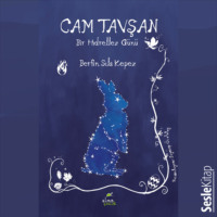 Berfin Sıla Kepez. Cam Tavşan Bir Hıdrellez Günü
