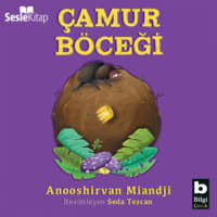 Anooshirvan Miandji. Çamur Böceği