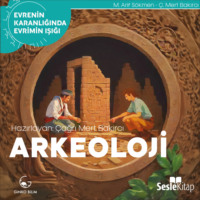 Mehmet Arif Sökmen. EVRENİN KARANLIĞINDA EVRİMİN IŞIĞI BÖLÜM 9 / ARKEOLOJİ - Kuyruksuz Maymunların Kültürel Yolculuğu