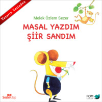Melek Özlem Sezer. Masal Yazdım Şiir Sandım