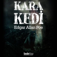 Эдгар Аллан По. Kara Kedi