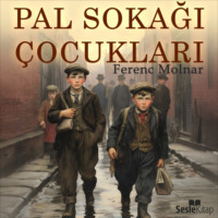 Ferenc Molnar. Pal Sokağı Çocukları