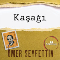 Ömer Seyfettin. Ömer Seyfettin Öyküleri - Kaşağı