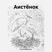 Наталья Олеговна Жиромская. Аистёнок