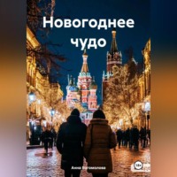 Анна Богомолова. Новогоднее чудо