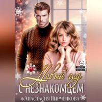 Анастасия Пырченкова. Новый год с незнакомцем