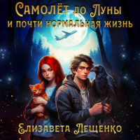 . Самолёт до Луны и почти нормальная жизнь