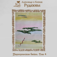 Александр Рудазов. Паргоронские байки. Том 4