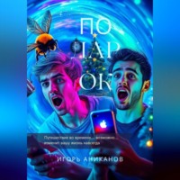 Игорь Аниканов. Подарок