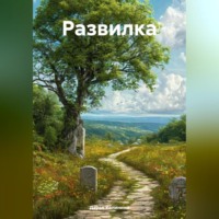 Дарья Калинина. Развилка