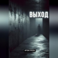 Артем Стрелец. Выход