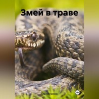 Сергей Громов. Змей в траве