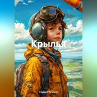 Груздев Валерий. Крылья