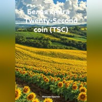 Максим Николаевич Ерыгин. Белая книга Twenty-Second coin (TSC)