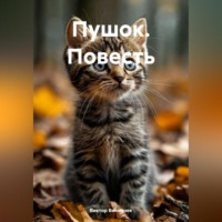 Виктор Винничек. ПУШОК (повесть)