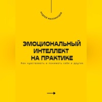 Андрей Миллиардов. Эмоциональный интеллект на практике. Как чувствовать и понимать себя и других