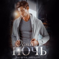 . Одна ночь