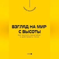 Андрей Миллиардов. Взгляд на мир с высоты. Как мыслить масштабно и действовать точно