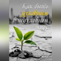 Ким Майклс. Как быть духовным в недуховном мире