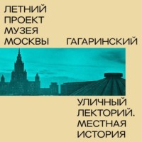 Денис Ромодин. Гагаринский район