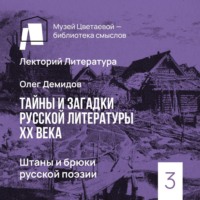 . Штаны и брюки русской поэзии