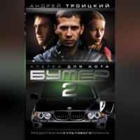 Андрей Троицкий. Бумер-2: Клетка для кота
