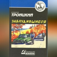 Андрей Троицкий. Заблудившиеся