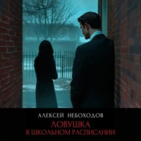 Алексей Небоходов. Ловушка в школьном расписании