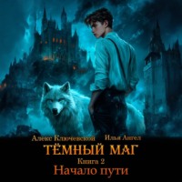 Алекс Ключевской (Лёха). Тёмный маг. Книга 2. Начало пути
