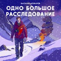 Василий Можаров. Одно большое расследование